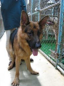 tn_IMG_7273.jpg