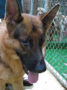 tn_IMG_7274.jpg