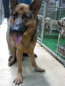 tn_IMG_7275.jpg
