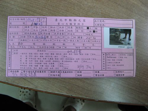 認養請看收容編號 ，籠號會經常變動