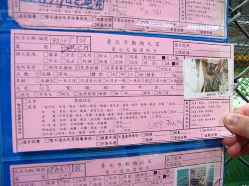 請務必記下「收容編號」，籠號有時會變動動
