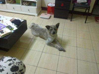 20110410427.jpg
