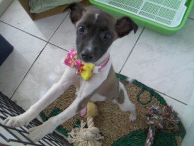 yaya0418.JPG