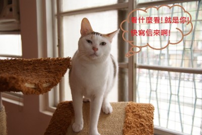 DSC01194.jpg