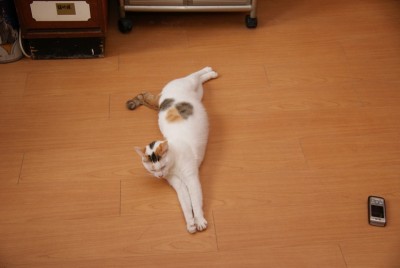 DSC01222.jpg