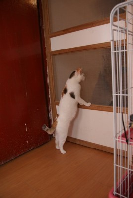 DSC01215.jpg