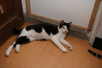 DSC01279.jpg