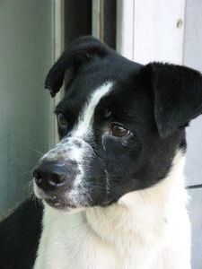 tn_IMG_7267.jpg