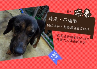 bulu壓縮.jpg