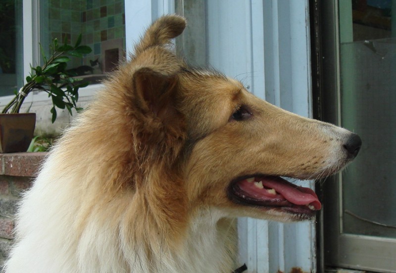 97101401-DSC09131.jpg
