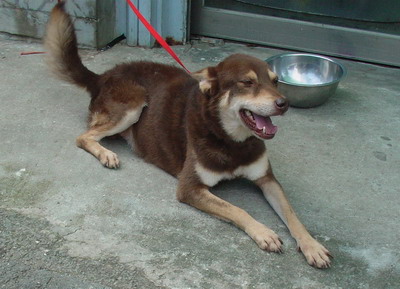 cane1.jpg