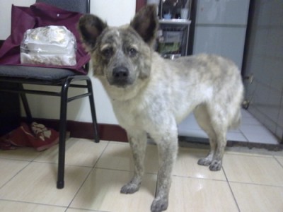 20110413435.jpg