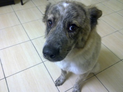 20110413430.jpg
