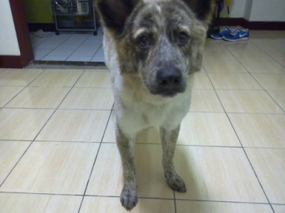 20110413438.jpg
