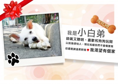 white壓縮.jpg