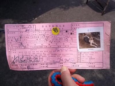 100_1990.jpg