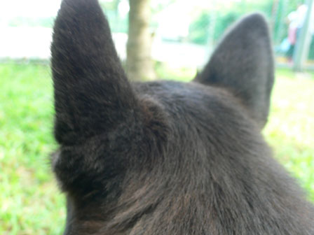 20081115_1.jpg