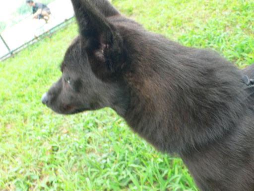 20081115_03.jpg