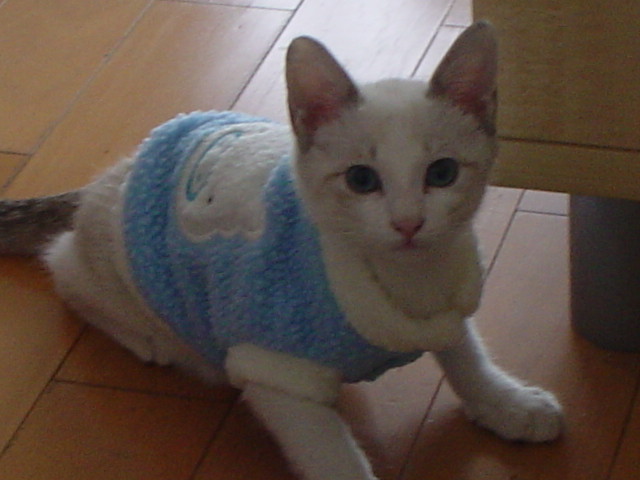 DSC02559.JPG