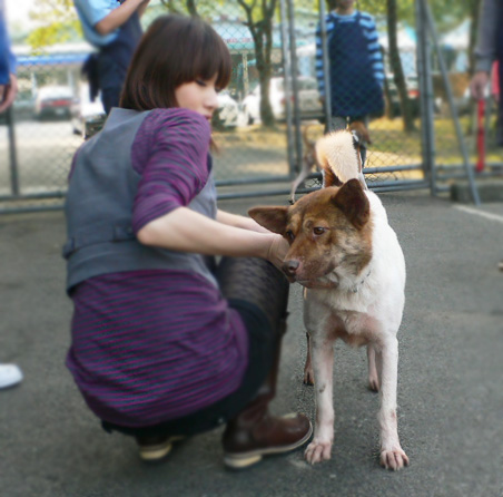 081222_c.jpg