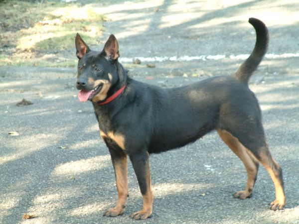 tn_DSCF0008.JPG