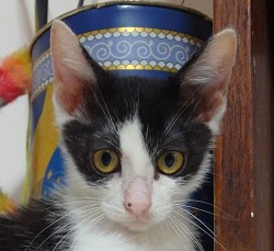 DSC01940-1.jpg