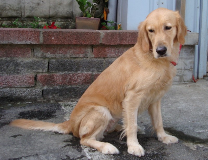 20090103F-DSC05875.jpg