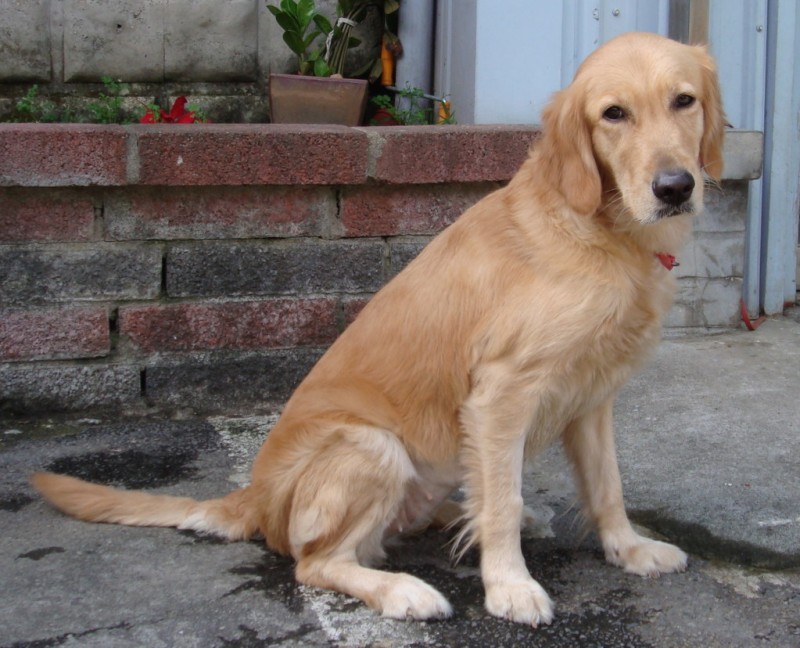 20090103F-DSC05876.jpg