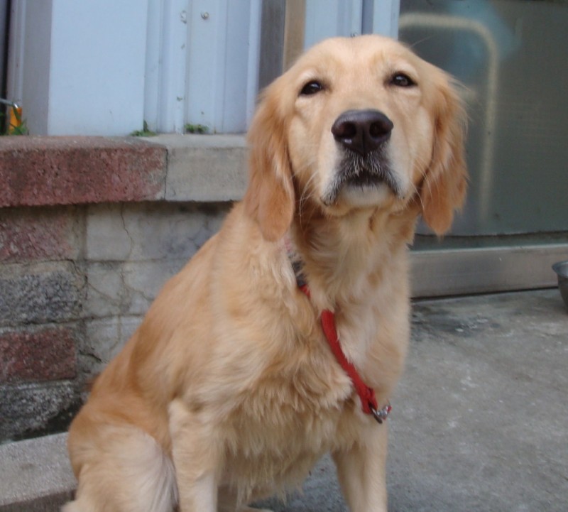 20090103F-DSC05873.jpg