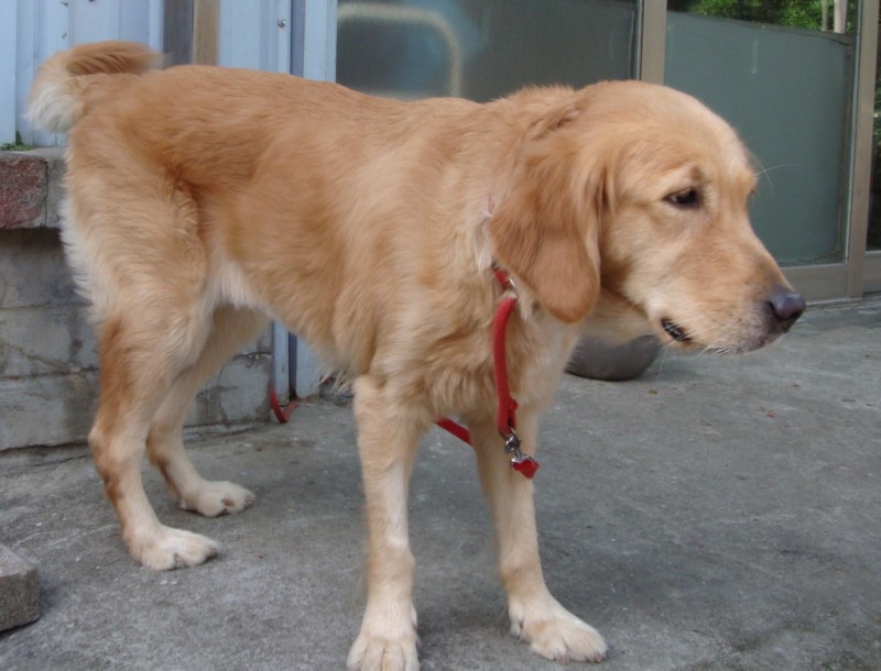 20090103F-DSC05871.jpg