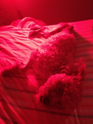 IMG-20120618-WA0000.jpg