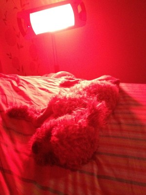 IMG-20120618-WA0001.jpg