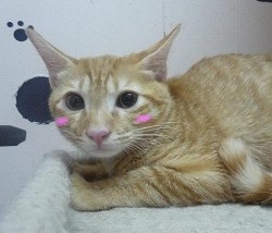 00.jpg