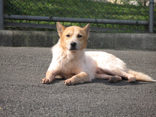 do1.jpg