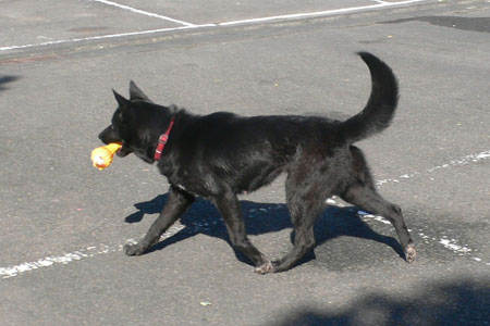 0117_a.jpg