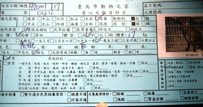狗卡
