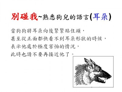 投影片8.JPG