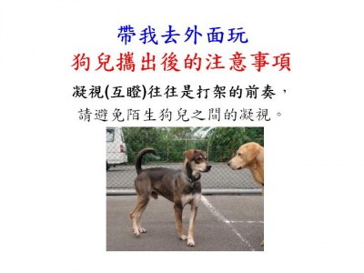投影片20.JPG