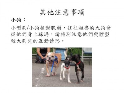 投影片23.JPG
