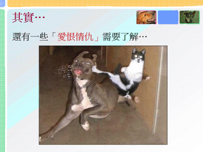 投影片13.GIF
