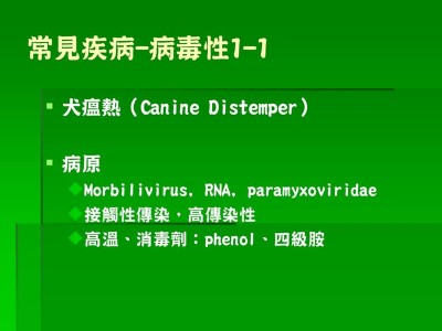 投影片7.JPG