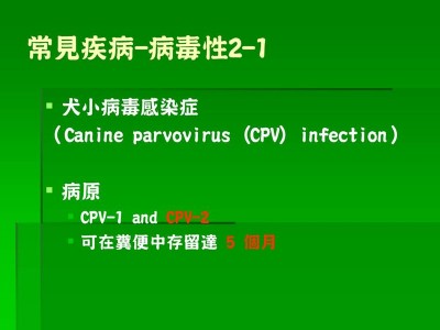 投影片12.JPG