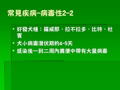 投影片13.JPG