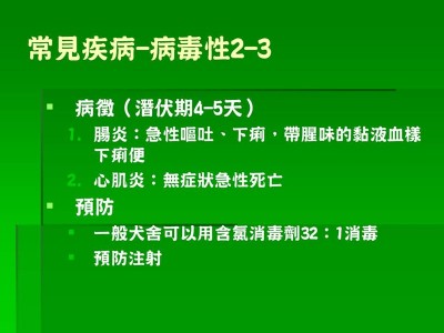 投影片14.JPG