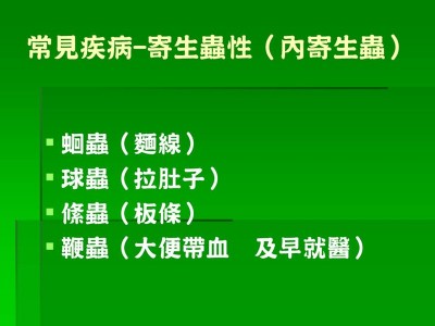 投影片16.JPG