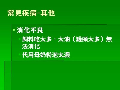 投影片17.JPG