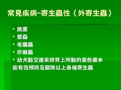 投影片19.JPG