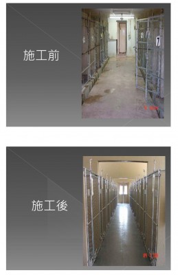 ShelterDesign&Mgmt-C32.jpg