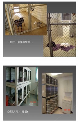 ShelterDesign&Mgmt-C34.jpg