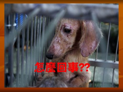 投影片17.JPG